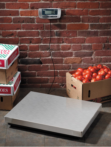 Edlund ERS-60 60 lb. Digital Receiving Scale  added to your basket